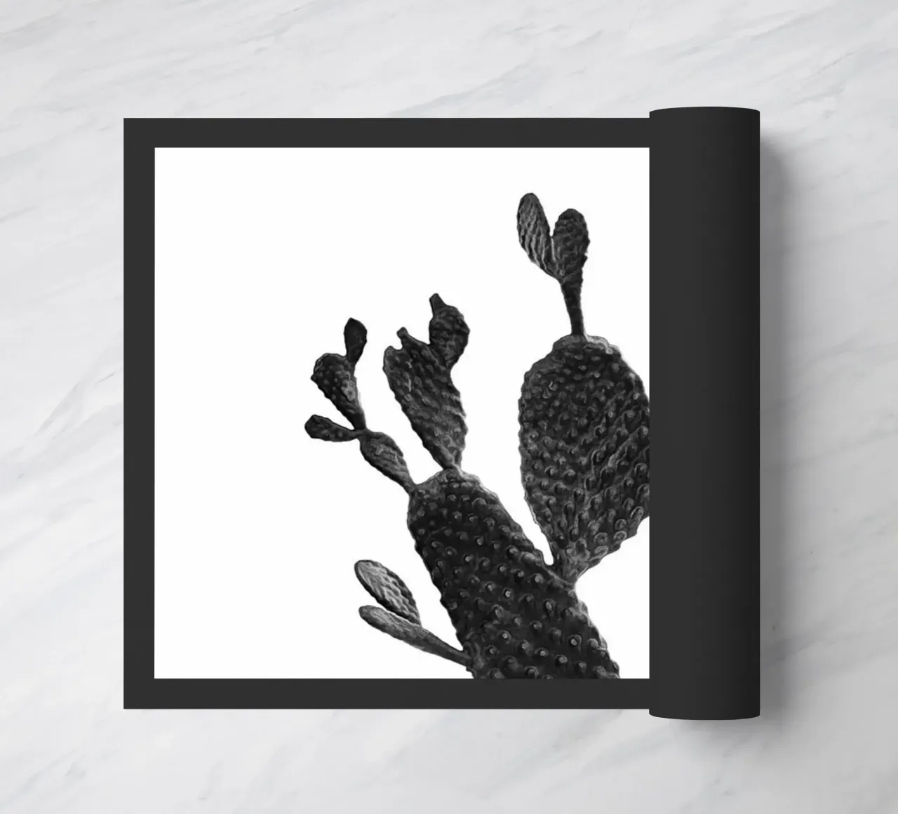 Cactus in bianco e nero 02 zerbino da amini54