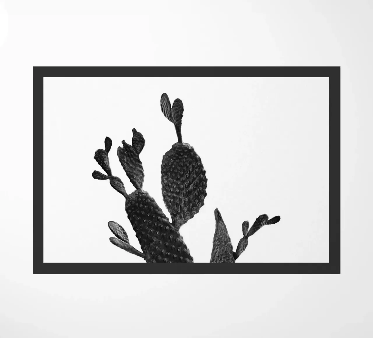 Cactus in bianco e nero 02 zerbino da amini54