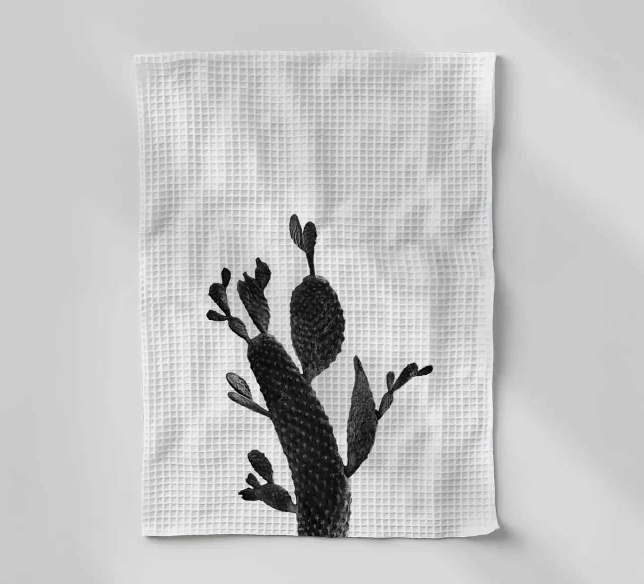 Cactus in bianco e nero 02 canovaccio da cucina da amini54