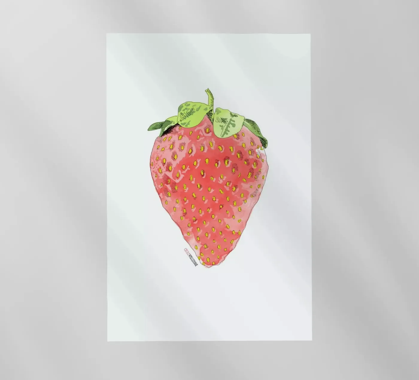 Fraise pellicola backlit da La Belette Rose