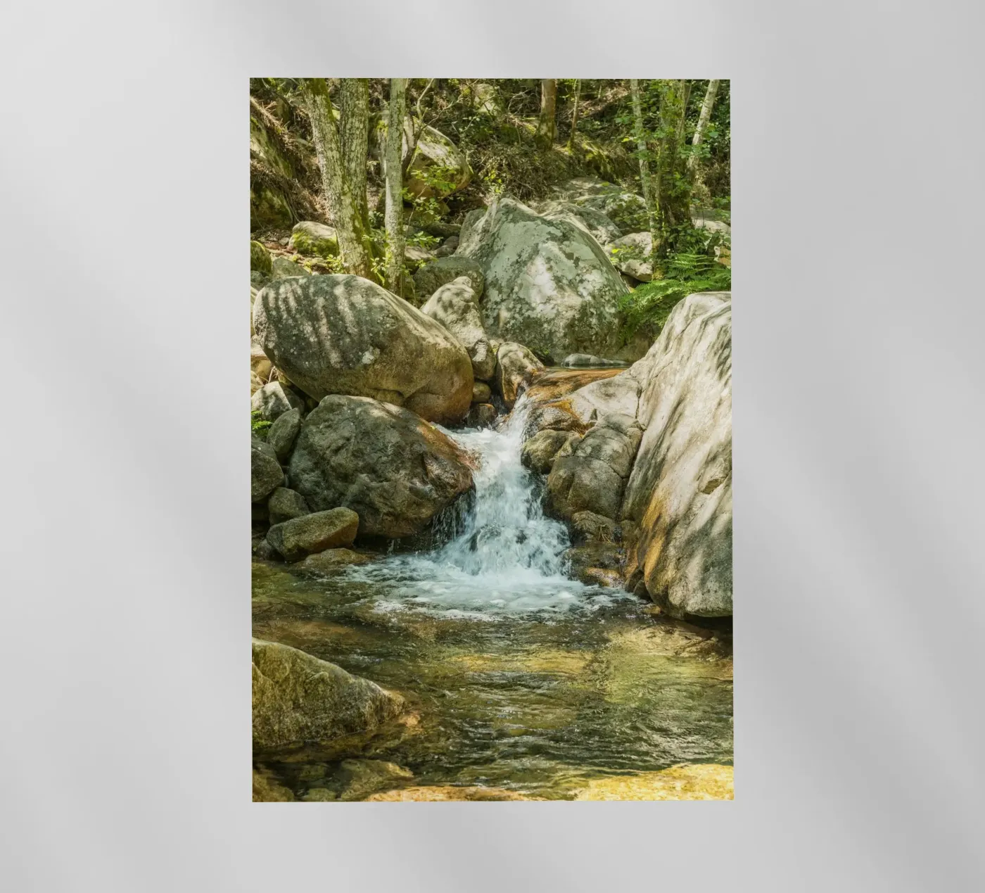 Cascata pellicola backlit da Curious Collections by Marielle Leenders