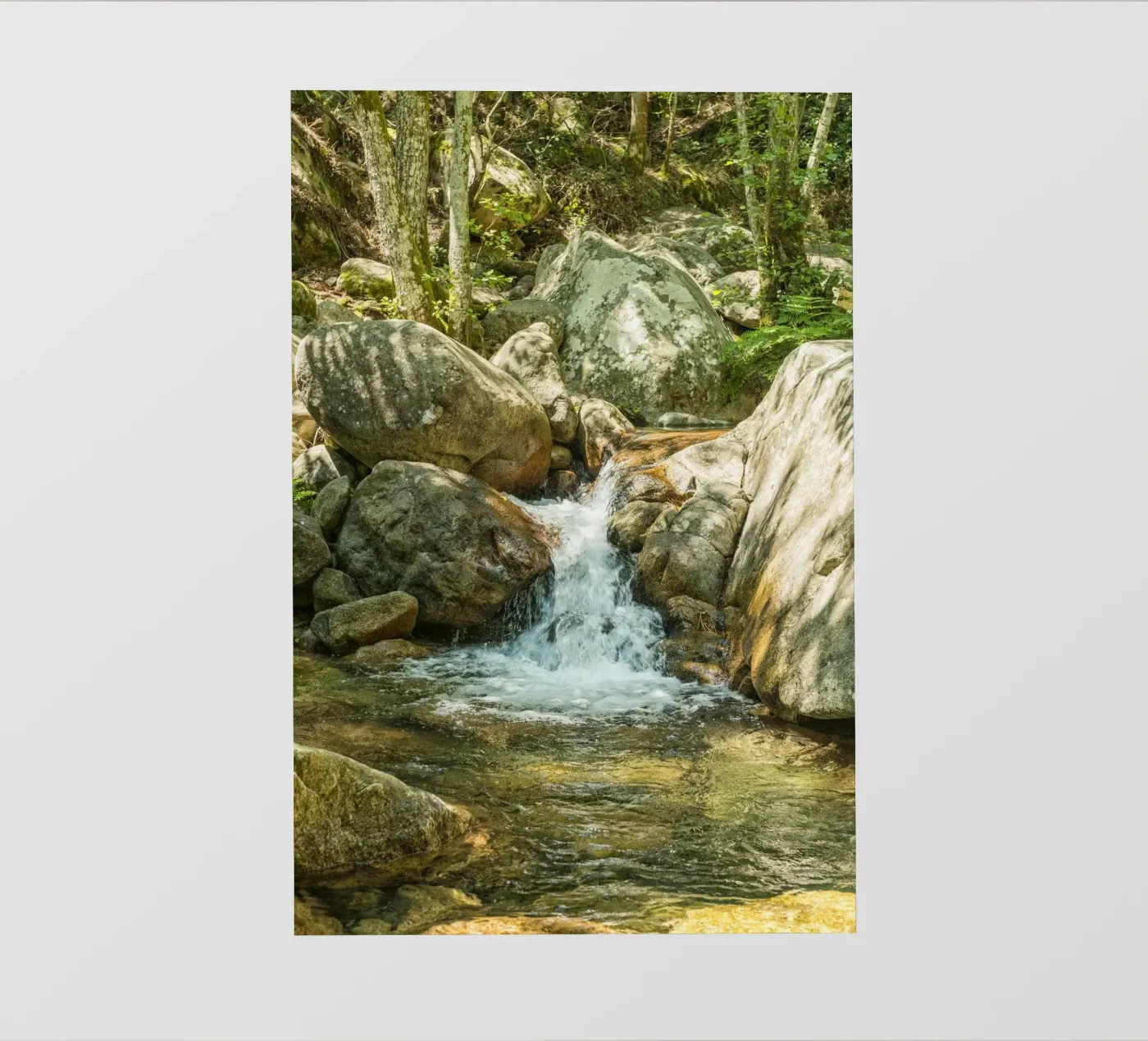 Cascata pellicola backlit da Curious Collections by Marielle Leenders