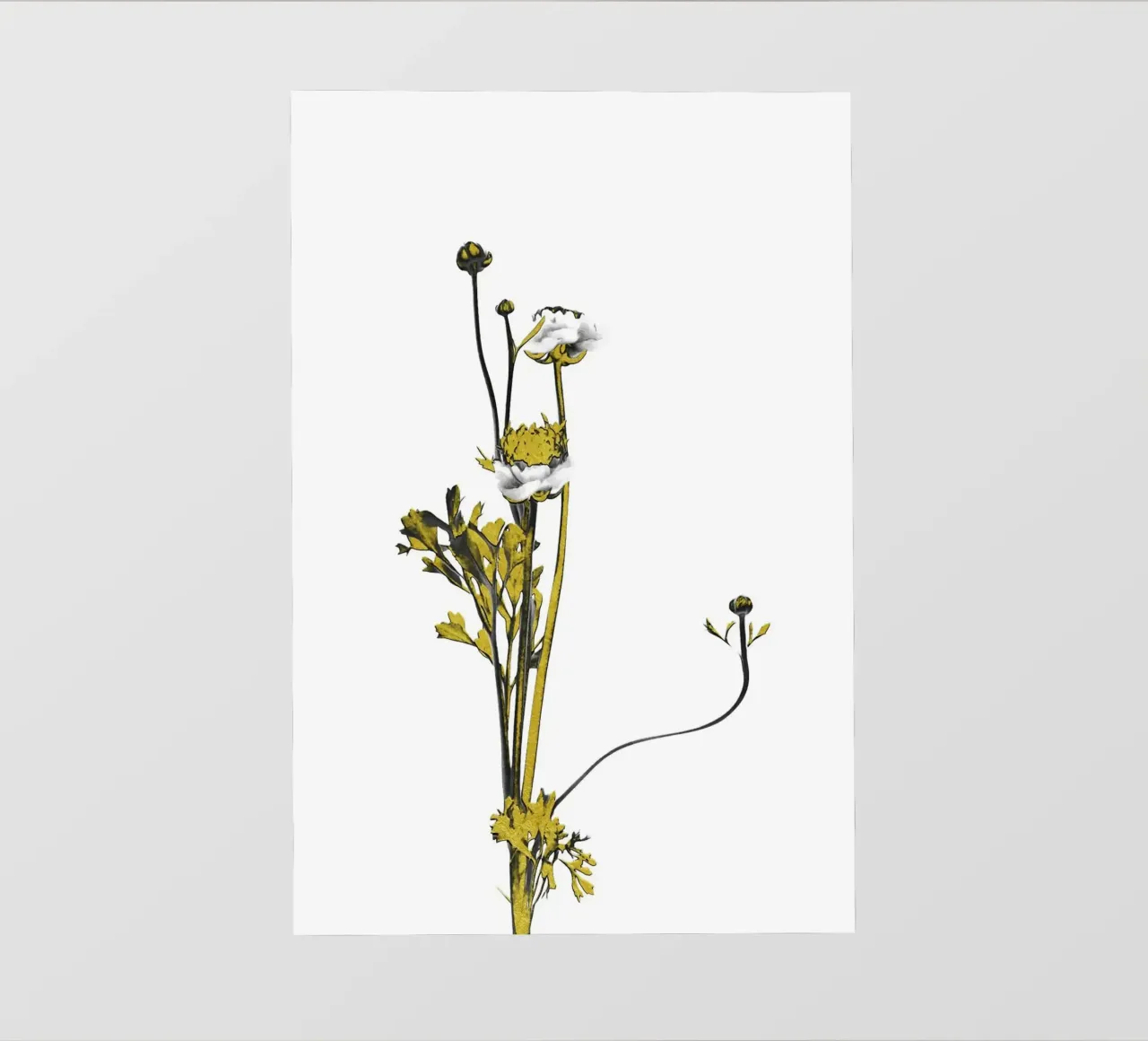 Fiore minimalista nero e oro 08 pellicola backlit da amini54