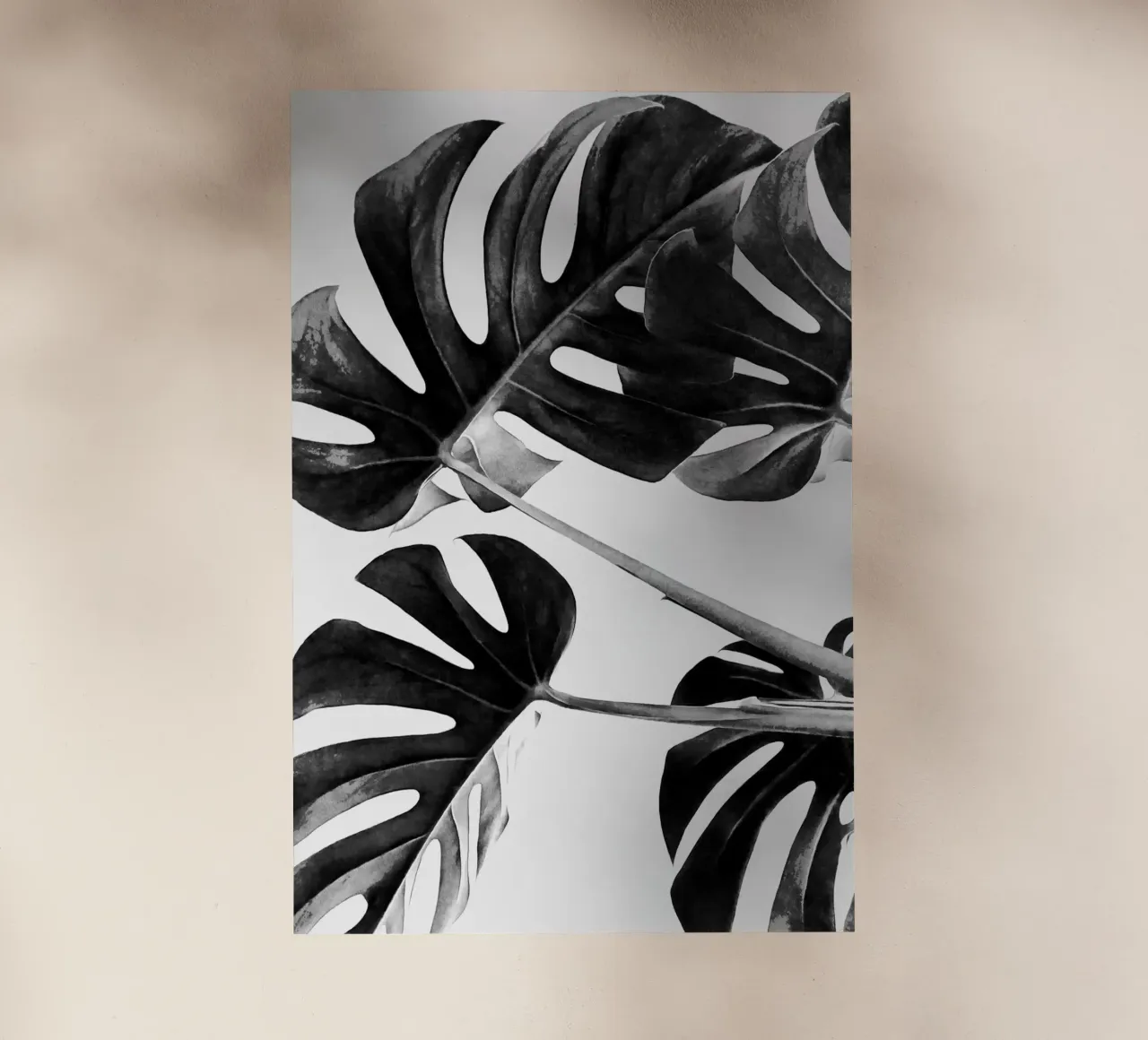 Monstera Bianco e Nero 05 pellicola backlit da amini54
