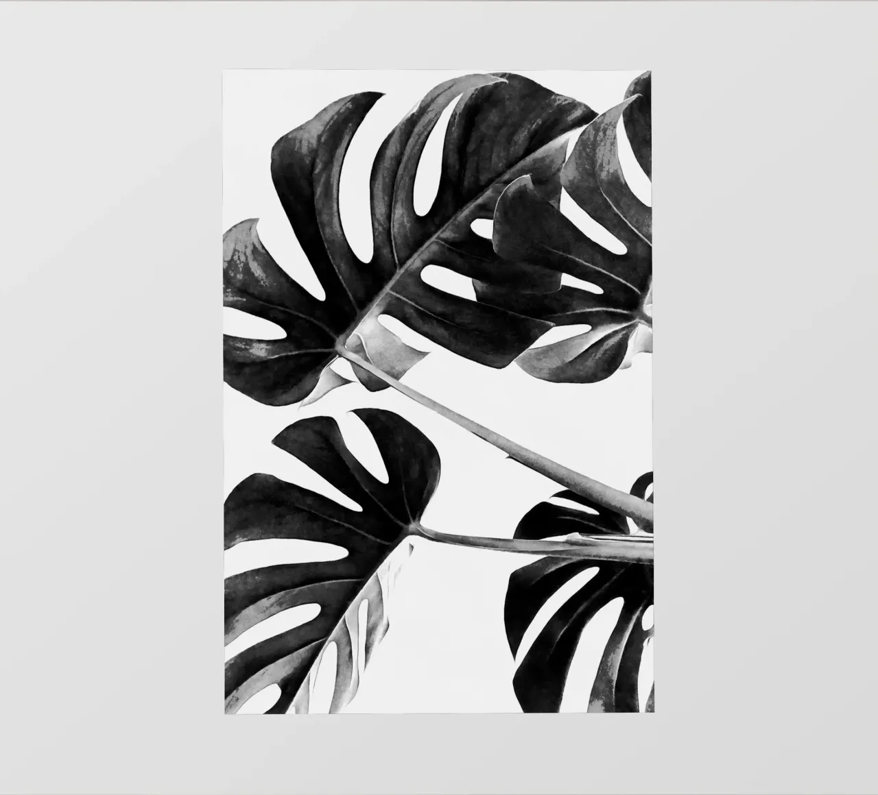 Monstera Black and White 05 photo wallpaper by amini54