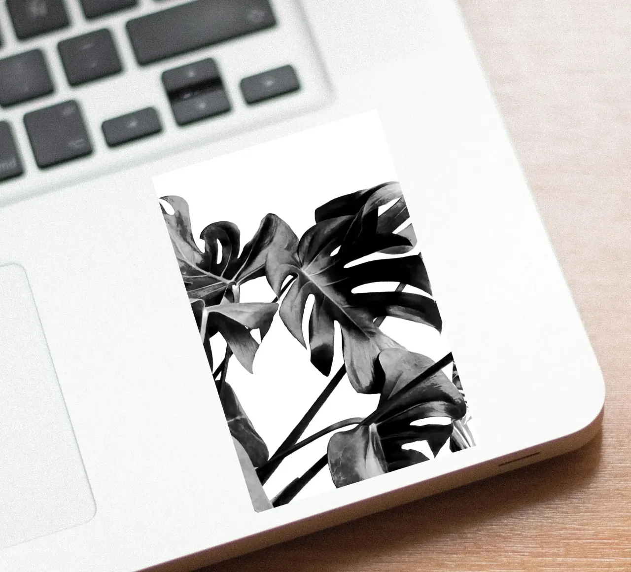 Monstera Black and White 06 sticker by amini54