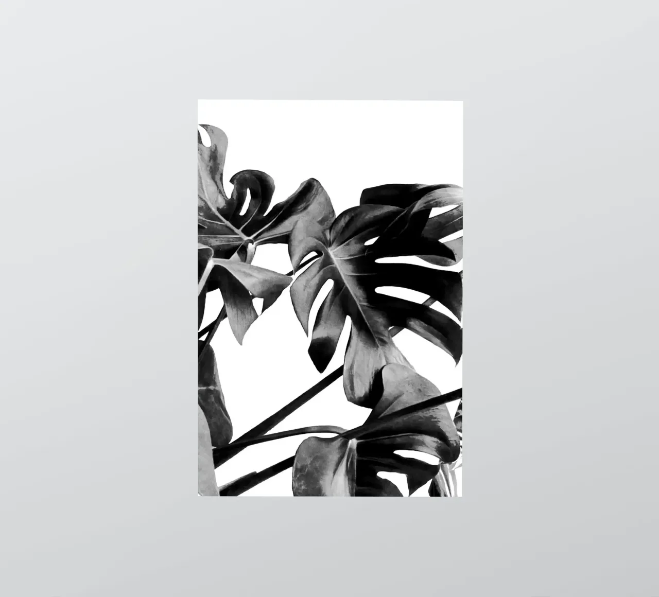 Monstera Black and White 06 sticker by amini54