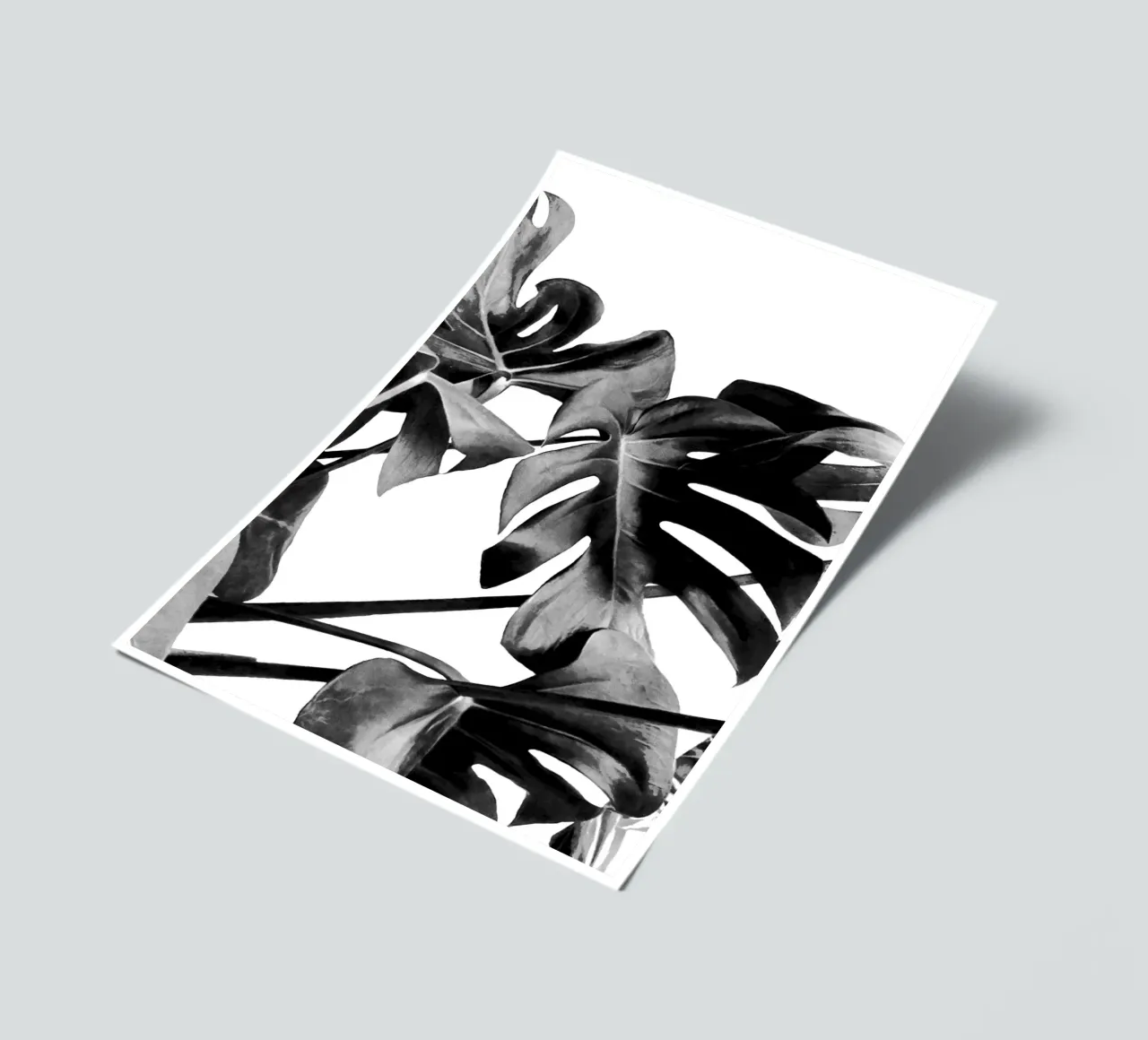 Monstera Black and White 06 sticker sheet by amini54
