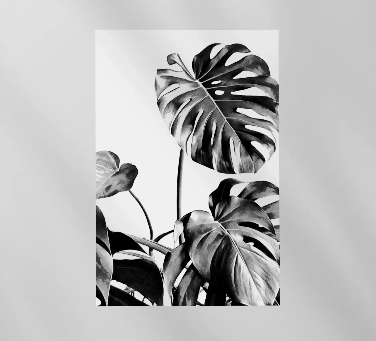 Monstera Bianco e Nero 07 pellicola backlit da amini54