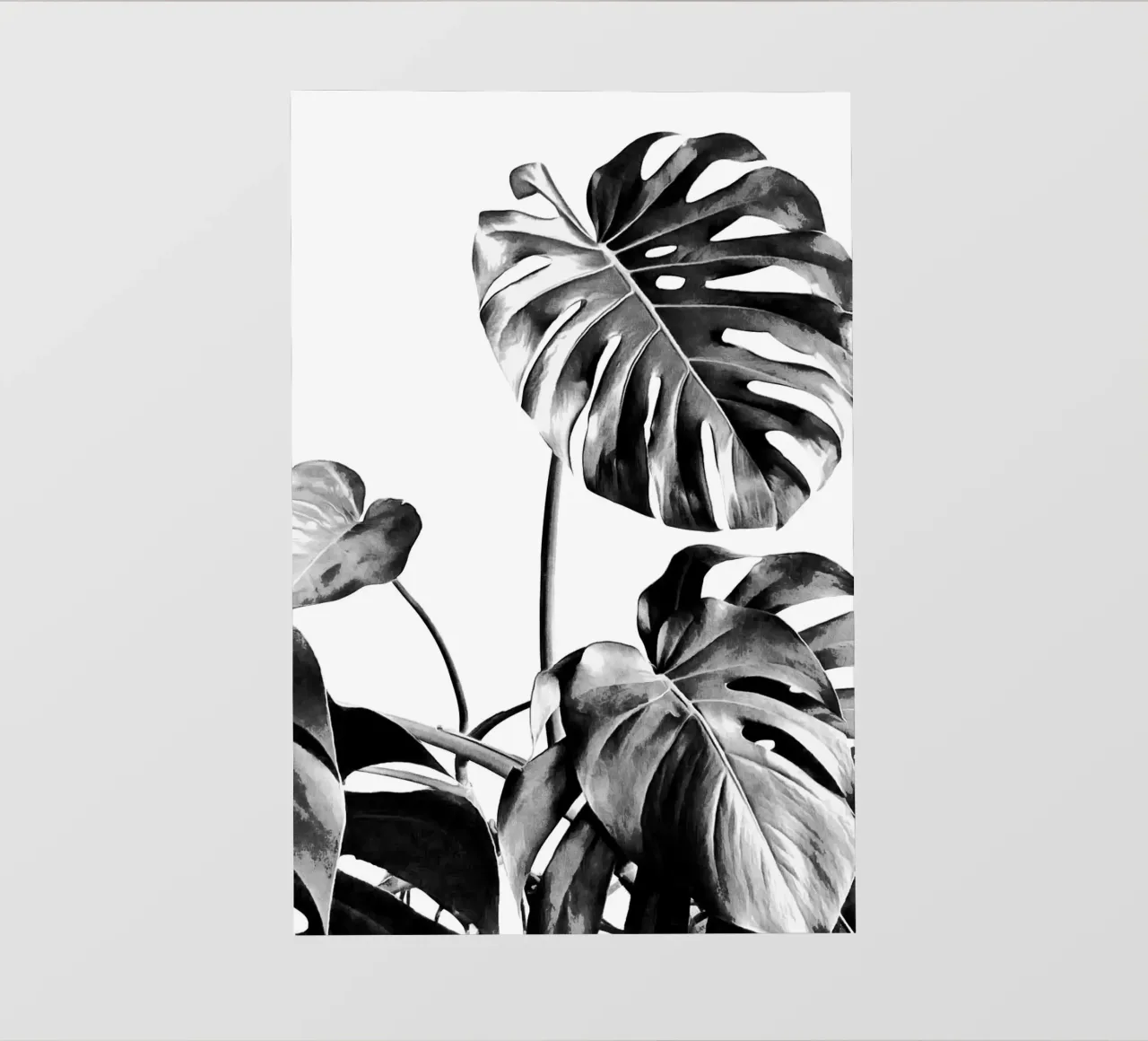 Monstera Black and White 07 photo wallpaper by amini54