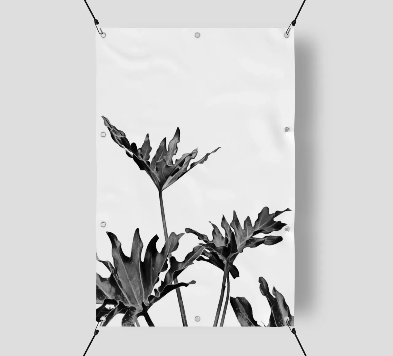 Monstera Bianco e Nero 08 telo in pvc da amini54