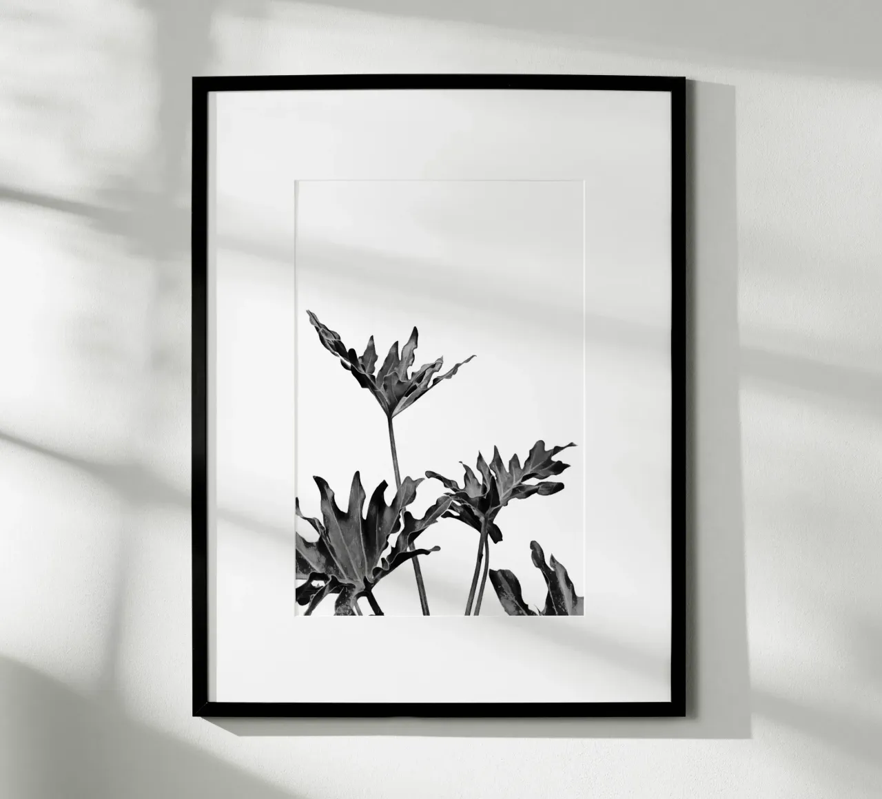 Monstera Bianco e Nero 08 poster da amini54
