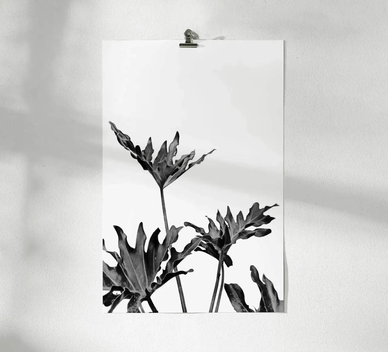 Monstera Bianco e Nero 08 poster da amini54