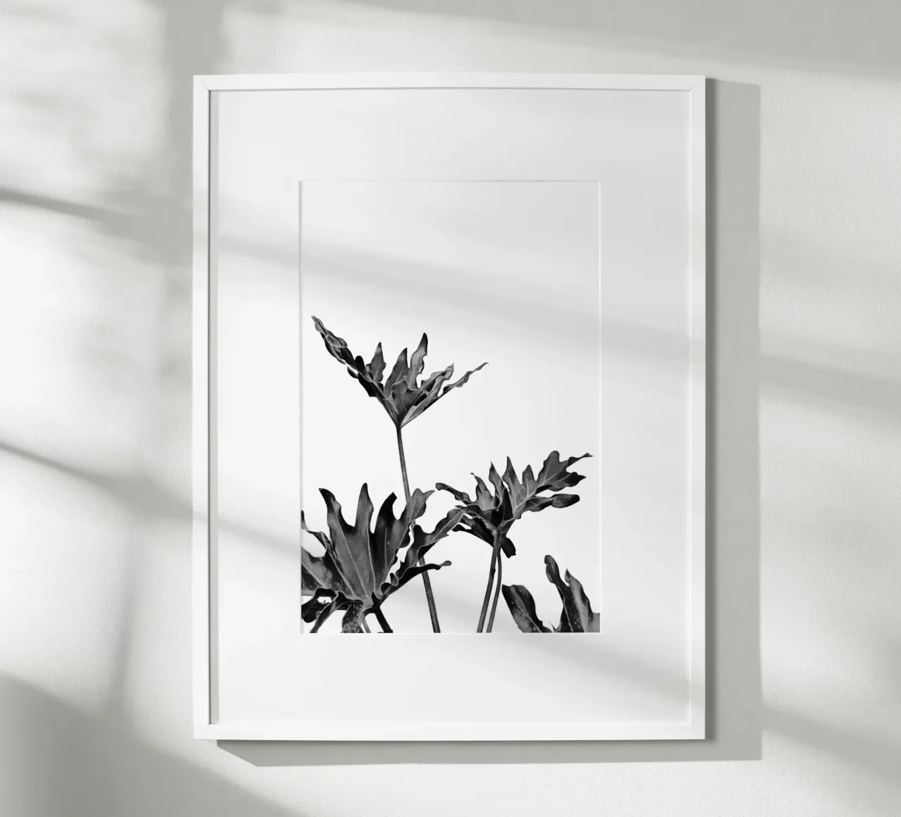 Monstera Bianco e Nero 08 poster da amini54