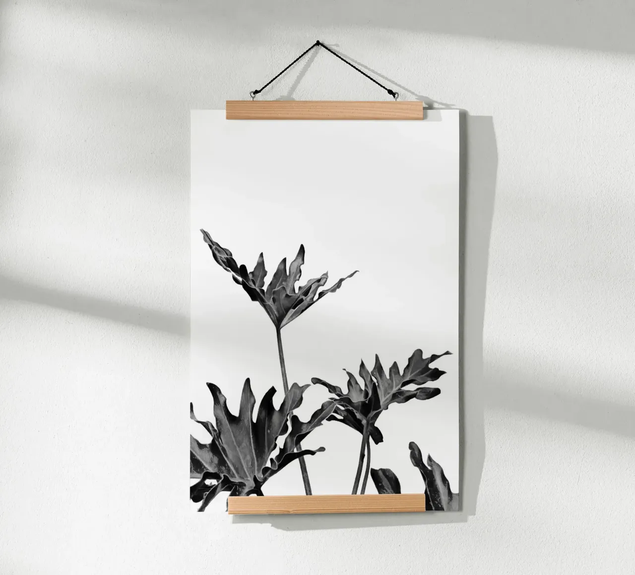 Monstera Bianco e Nero 08 poster da amini54