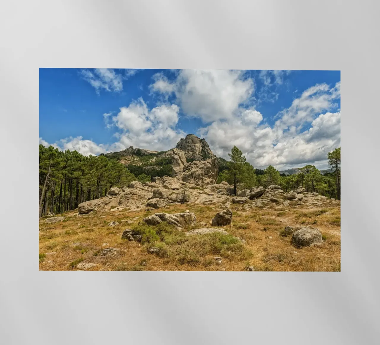 Mountainview Corsica pellicola backlit da Curious Collections by Marielle Leenders