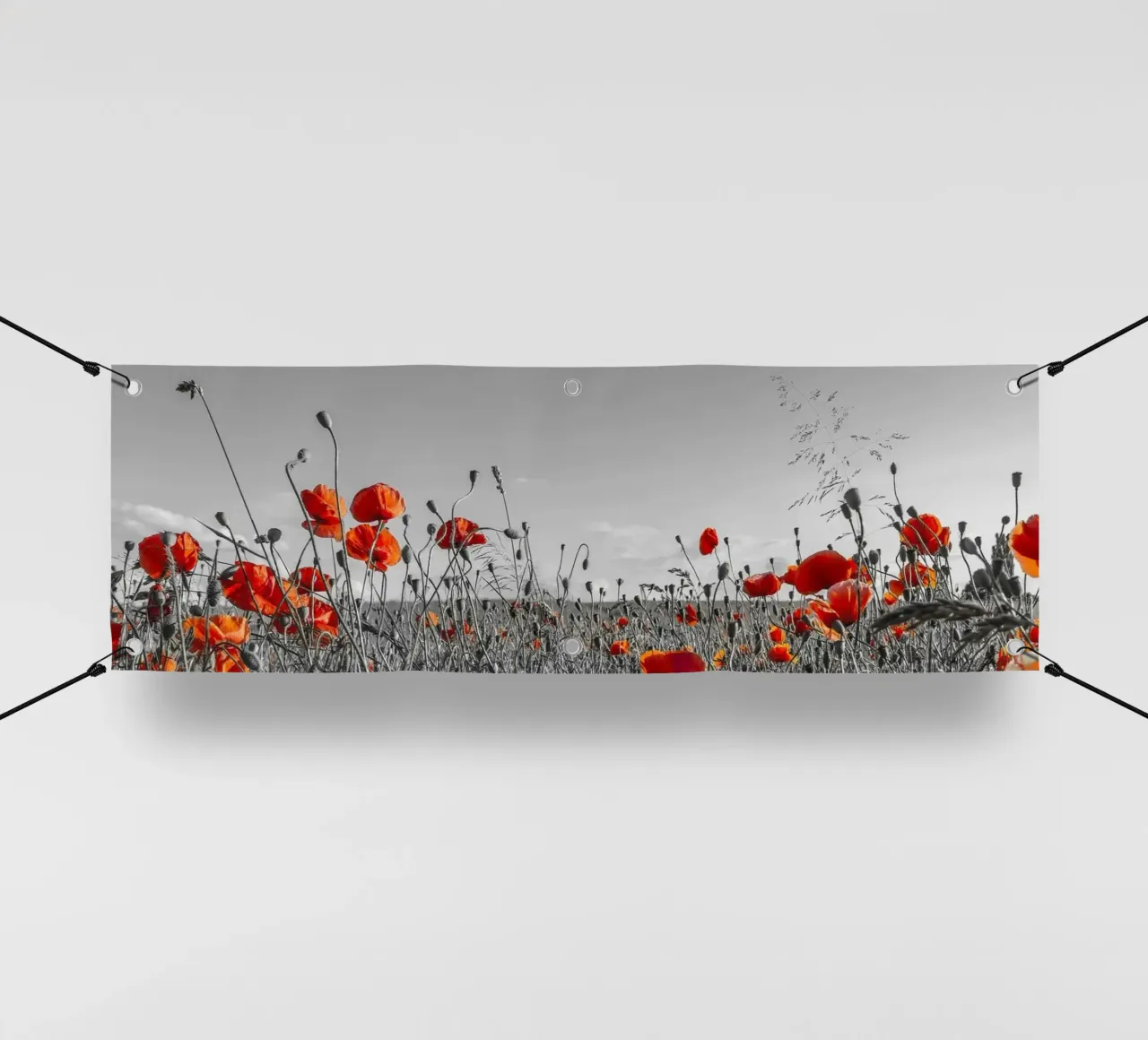 Mohnblumenfeld | Panorama colourkey telo in pvc da Melanie Viola