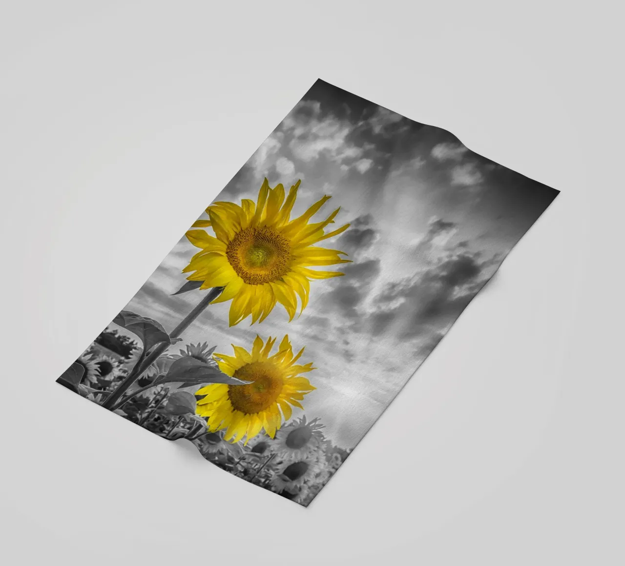 Due girasoli a fuoco telo mare da Melanie Viola