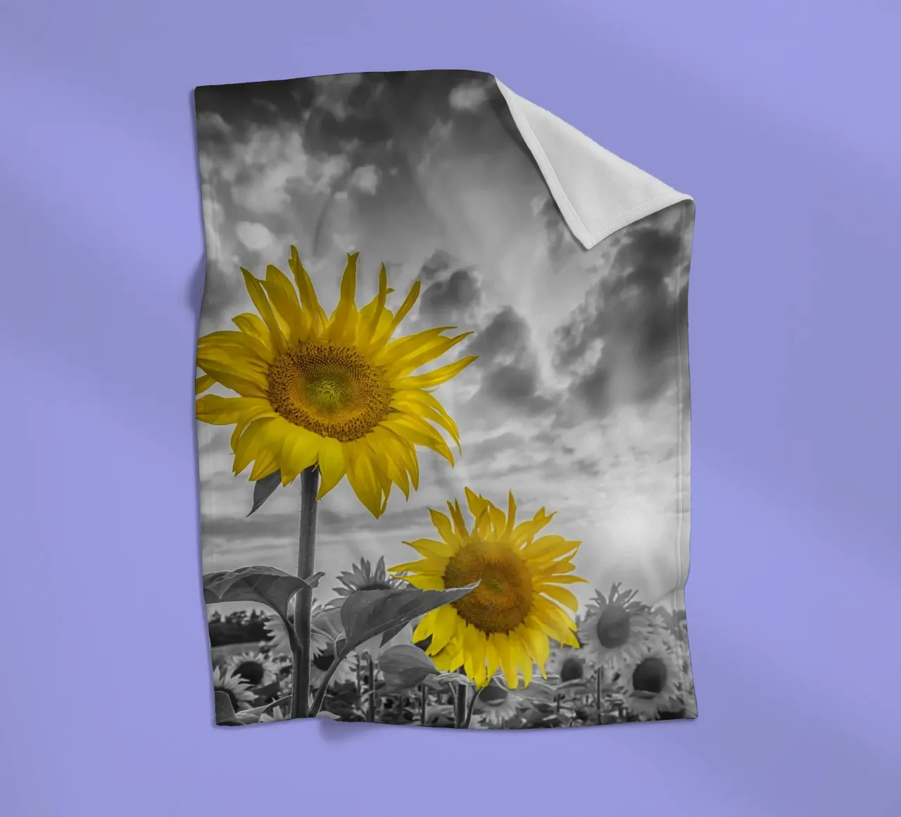 Due girasoli a fuoco coperta in pile da Melanie Viola