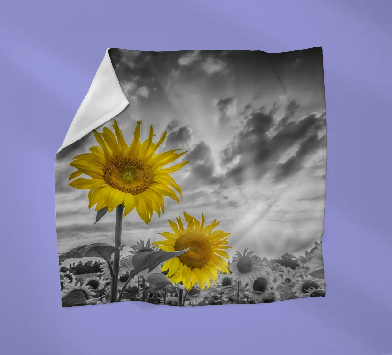 Due girasoli a fuoco coperta in pile da Melanie Viola