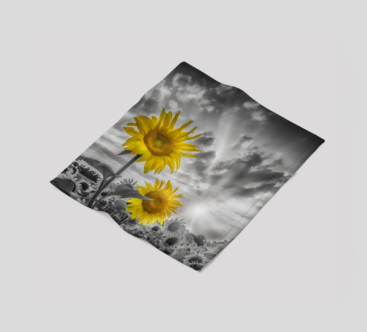 Due girasoli a fuoco coperta in pile da Melanie Viola