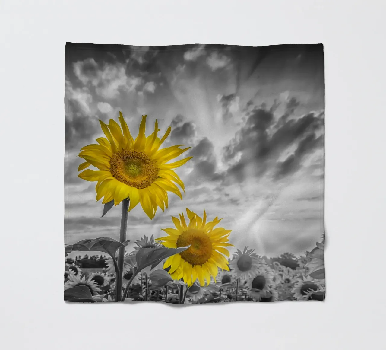 Due girasoli a fuoco coperta in pile da Melanie Viola