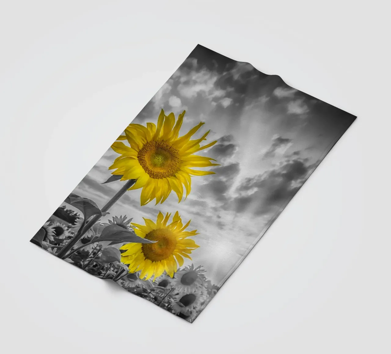 Due girasoli a fuoco coperta in pile da Melanie Viola