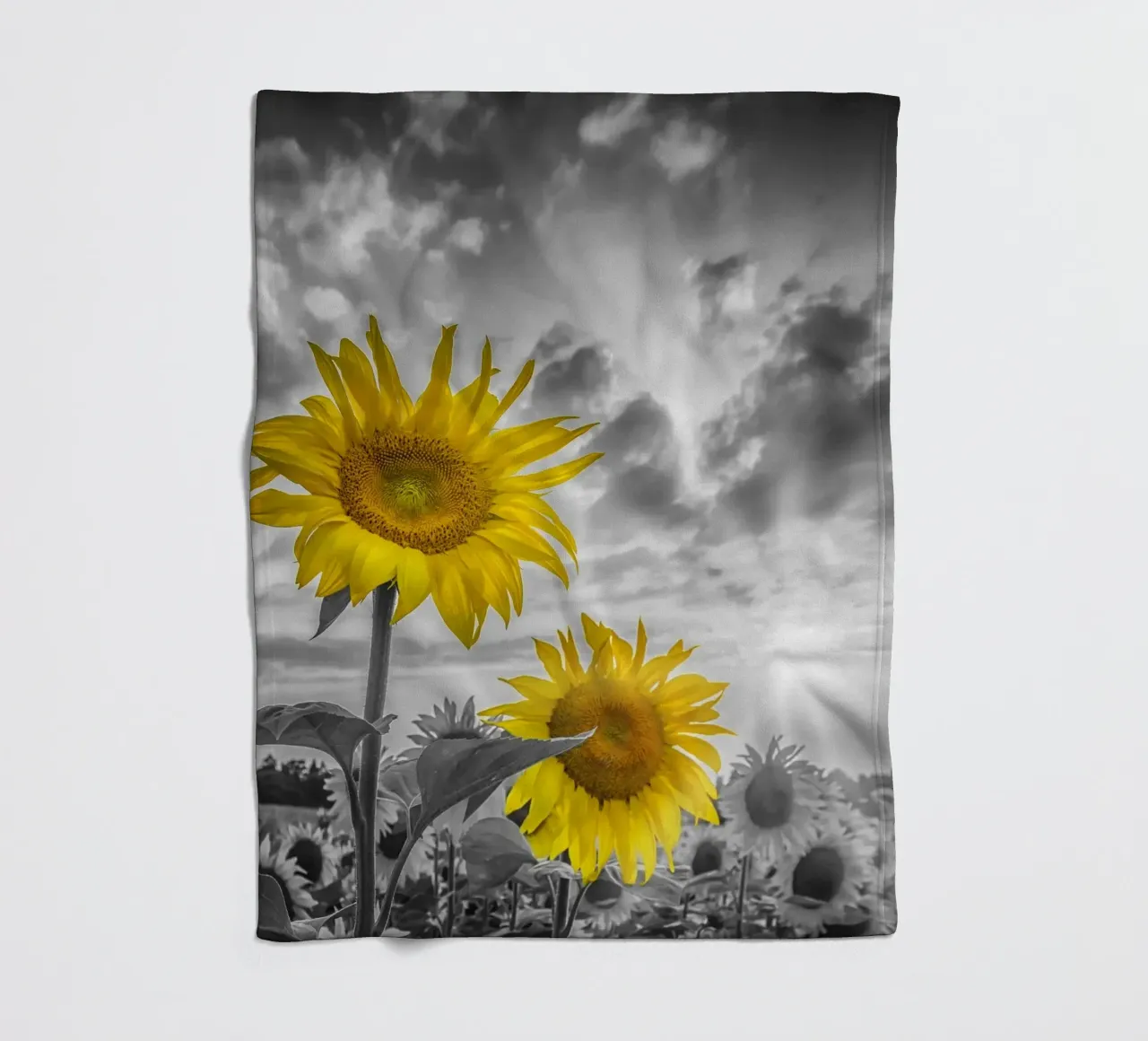 Due girasoli a fuoco coperta in pile da Melanie Viola