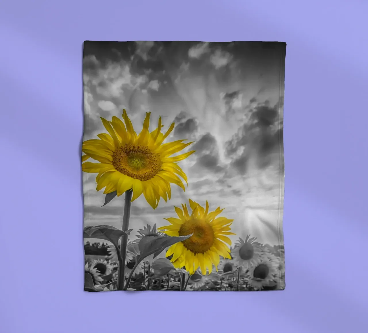 Due girasoli a fuoco coperta in pile da Melanie Viola