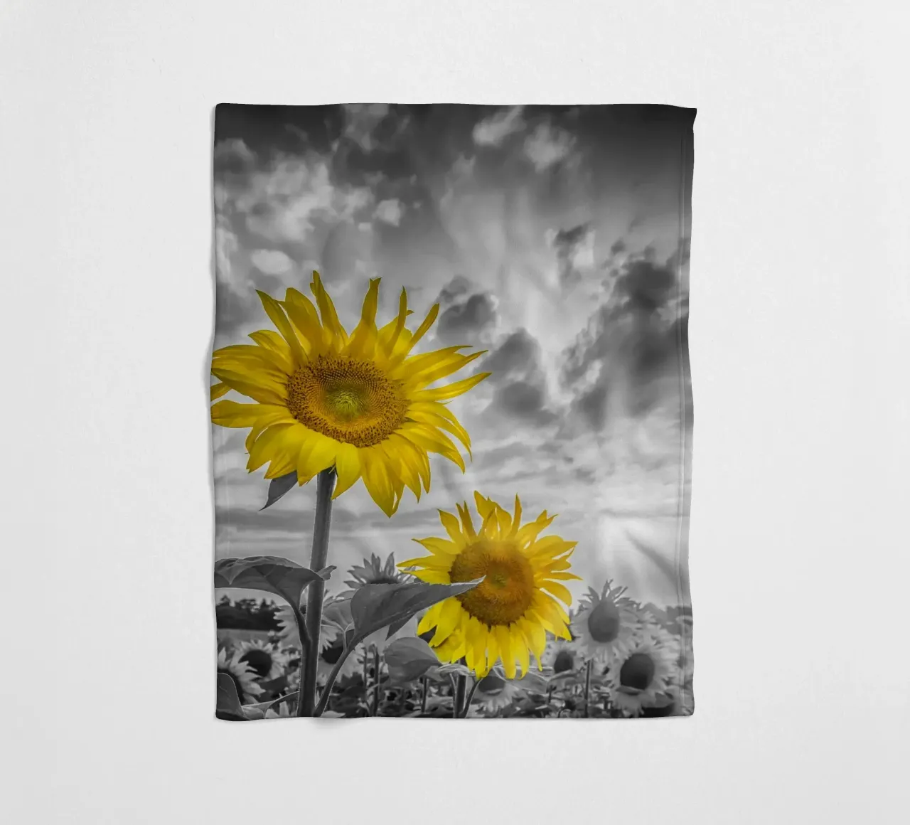 Due girasoli a fuoco coperta in pile da Melanie Viola