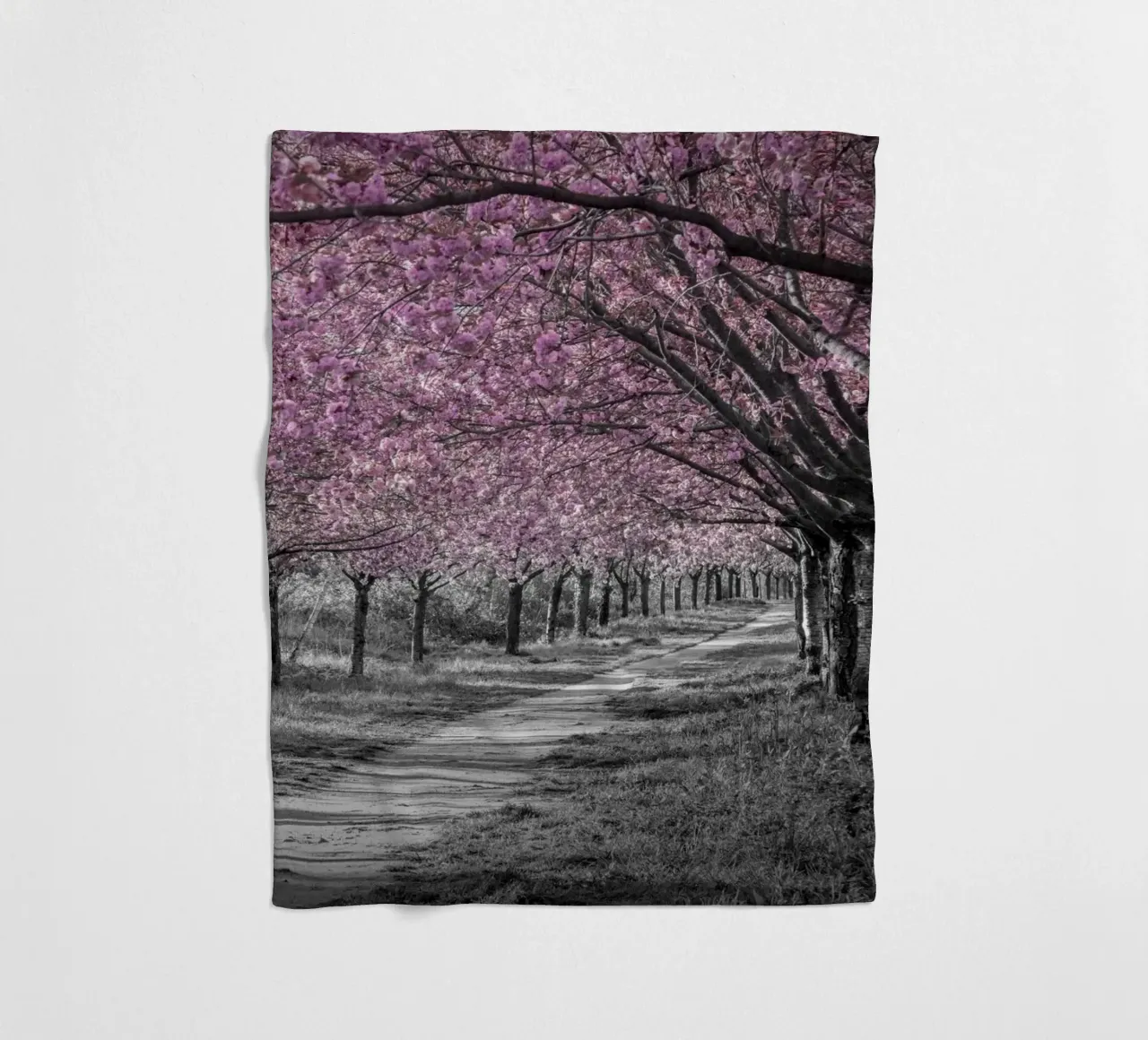 Incantevole viale di ciliegi in fiore in rosa coperta in pile da Melanie Viola