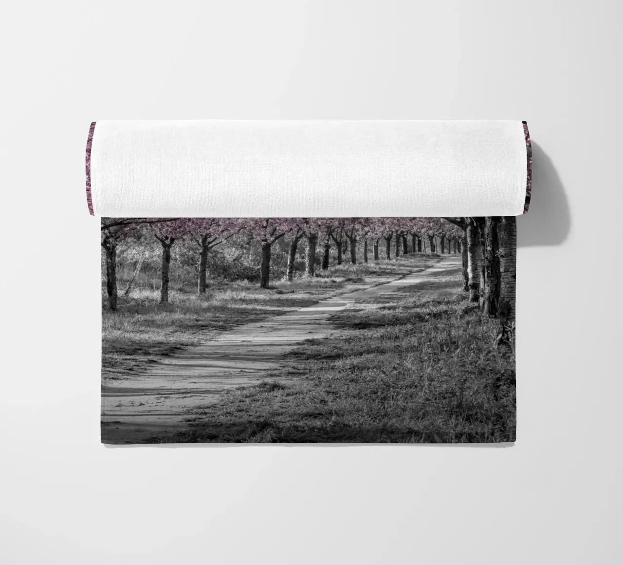 Incantevole viale di ciliegi in fiore in rosa telo mare da Melanie Viola