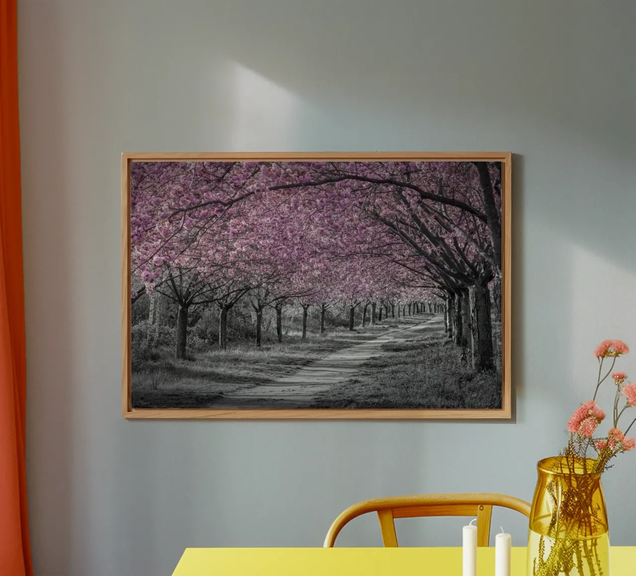 Incantevole viale di ciliegi in fiore in rosa alluminio dibond da Melanie Viola