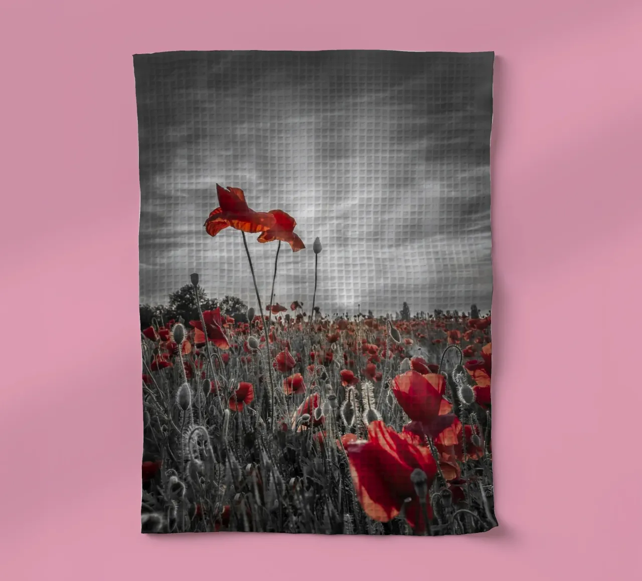 Amapolas al atardecer | colourkey paño de cocina de Melanie Viola