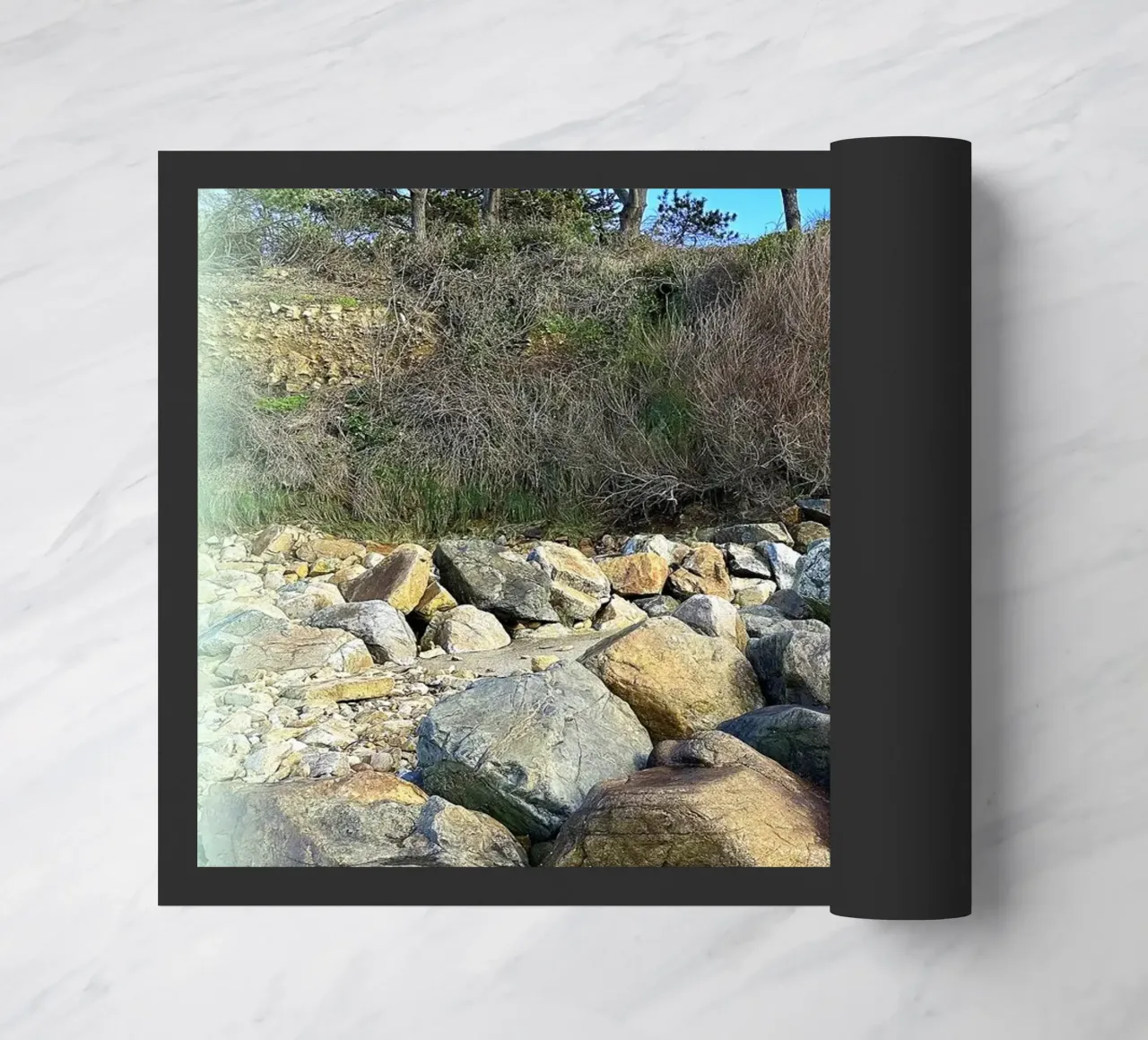 FAA70 zerbino da Thierry vobmann photography