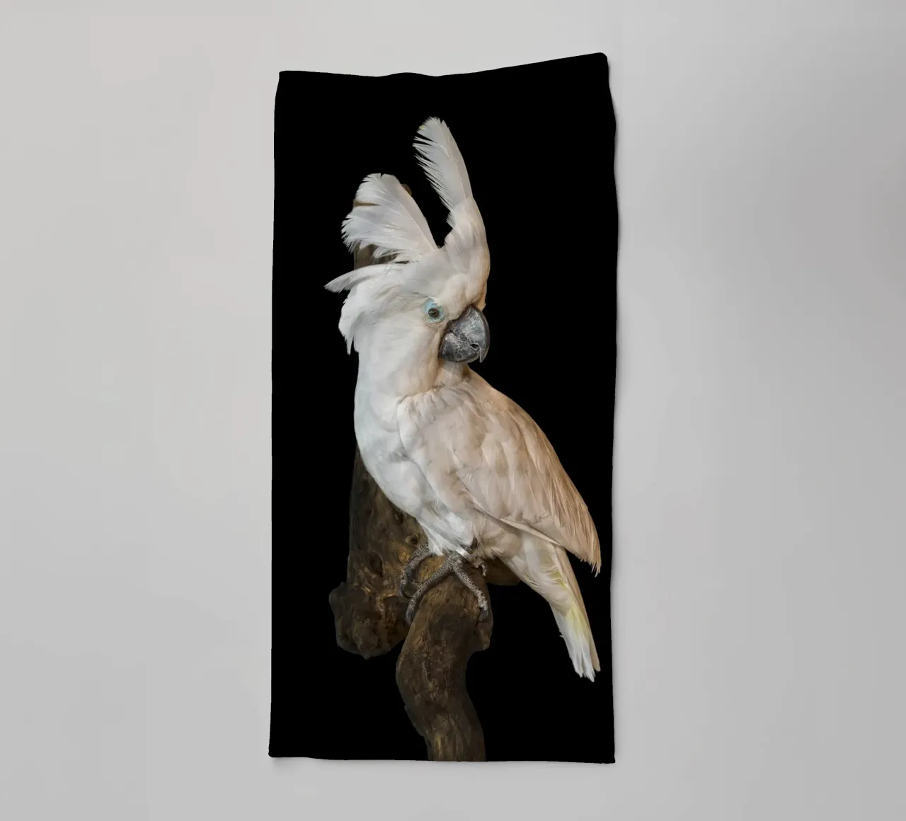 Cacatua bianco asciugamano da bagno da Curious Collections by Marielle Leenders