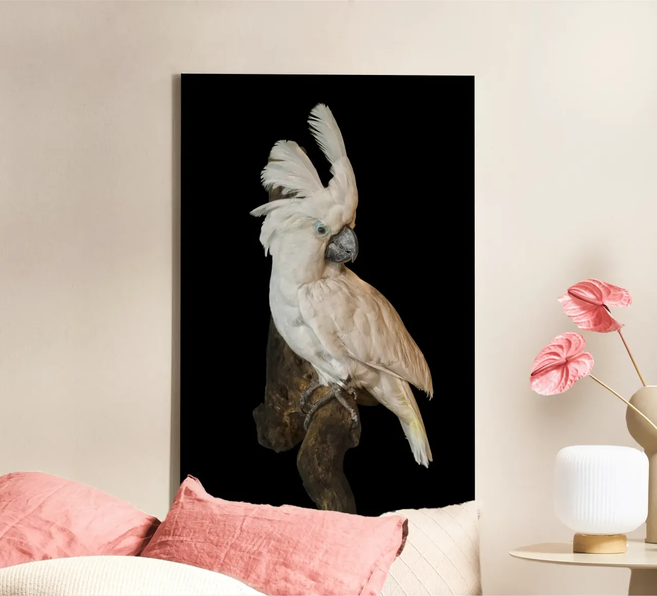Cacatua bianco tela con Cornice a cassetta da Curious Collections by Marielle Leenders