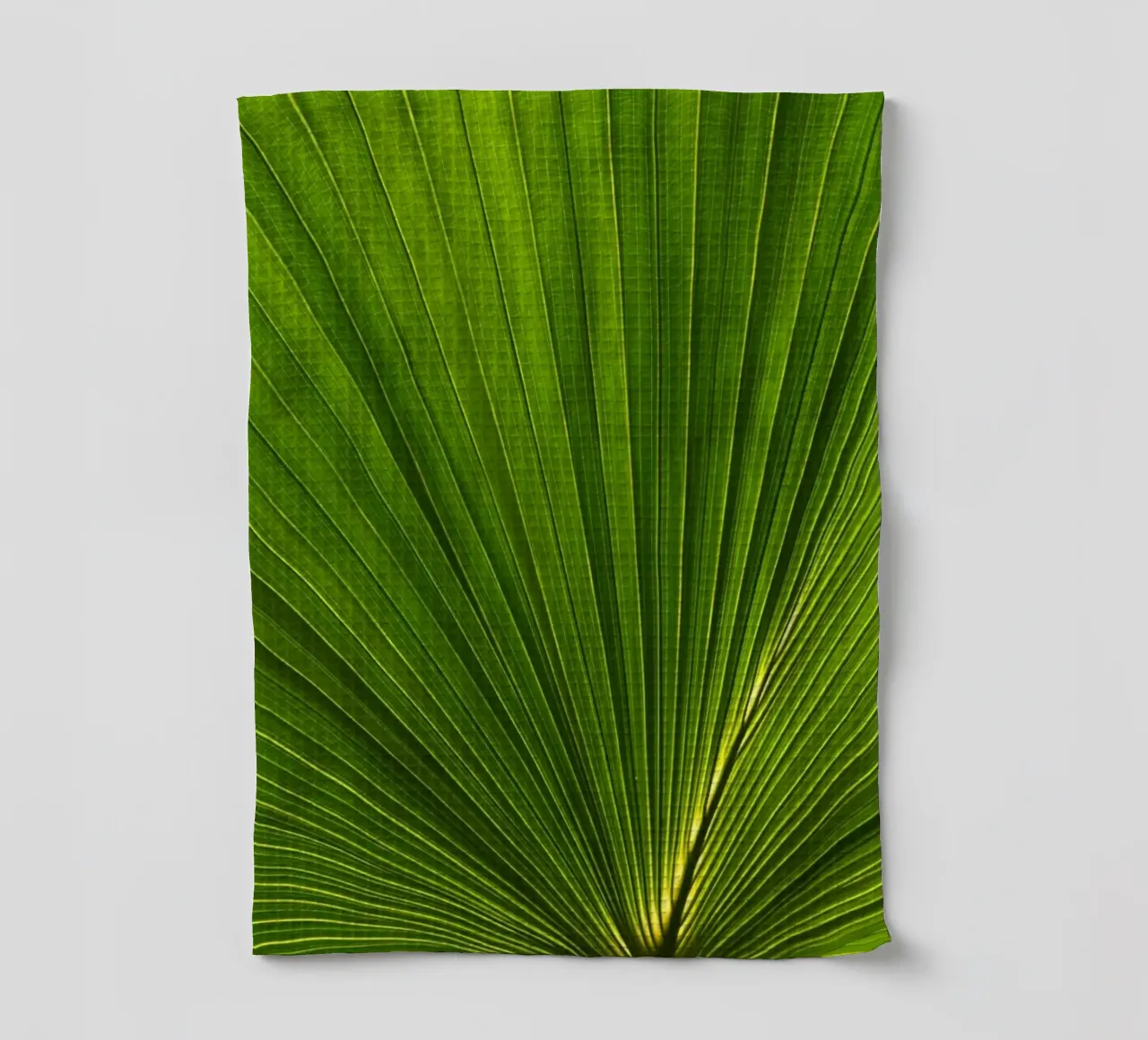 Feuilles de palmier en éventail 02 torchon de amini54