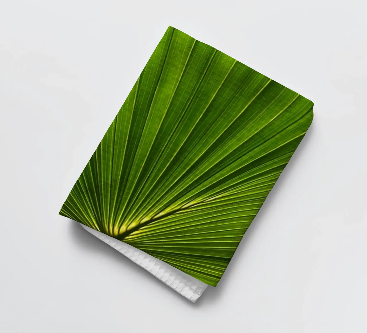 Feuilles de palmier en éventail 02 torchon de amini54