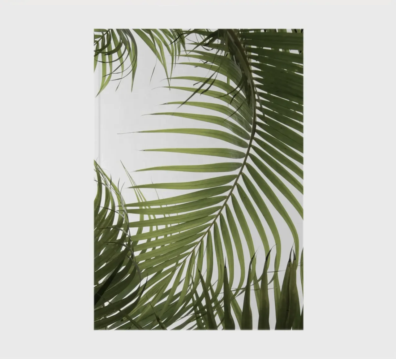 Palm Leaves 01 notebook by amini54