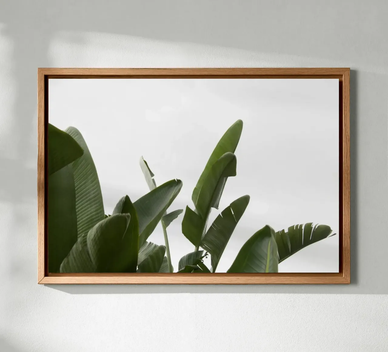 Travellers Palm Leaves 04 alu-dibond by amini54