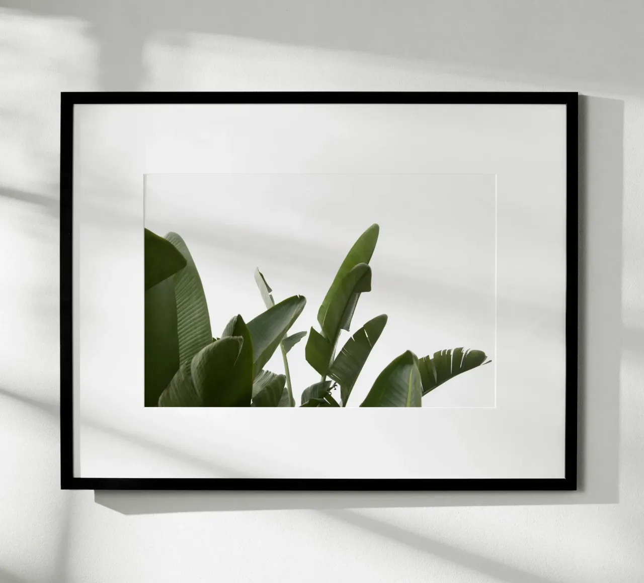 Travellers Palm Leaves 04 hahnemühle by amini54