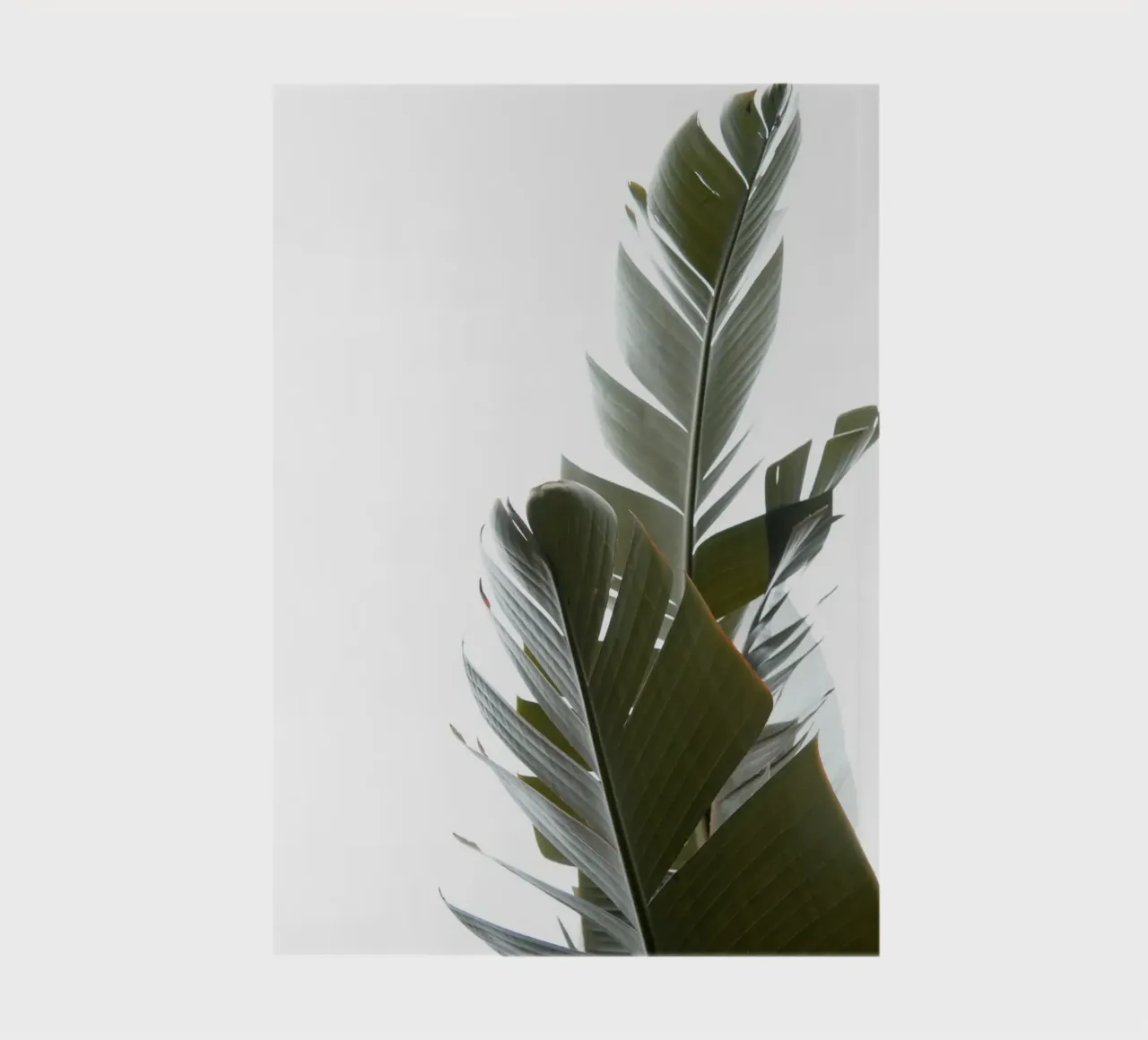 Travellers Palm Leaves 05 notebook by amini54