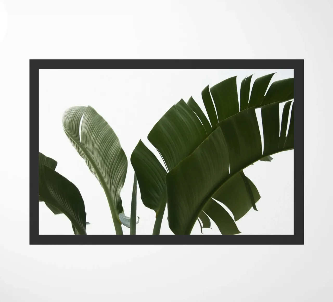 Travellers Palm Leaves 06 doormat by amini54
