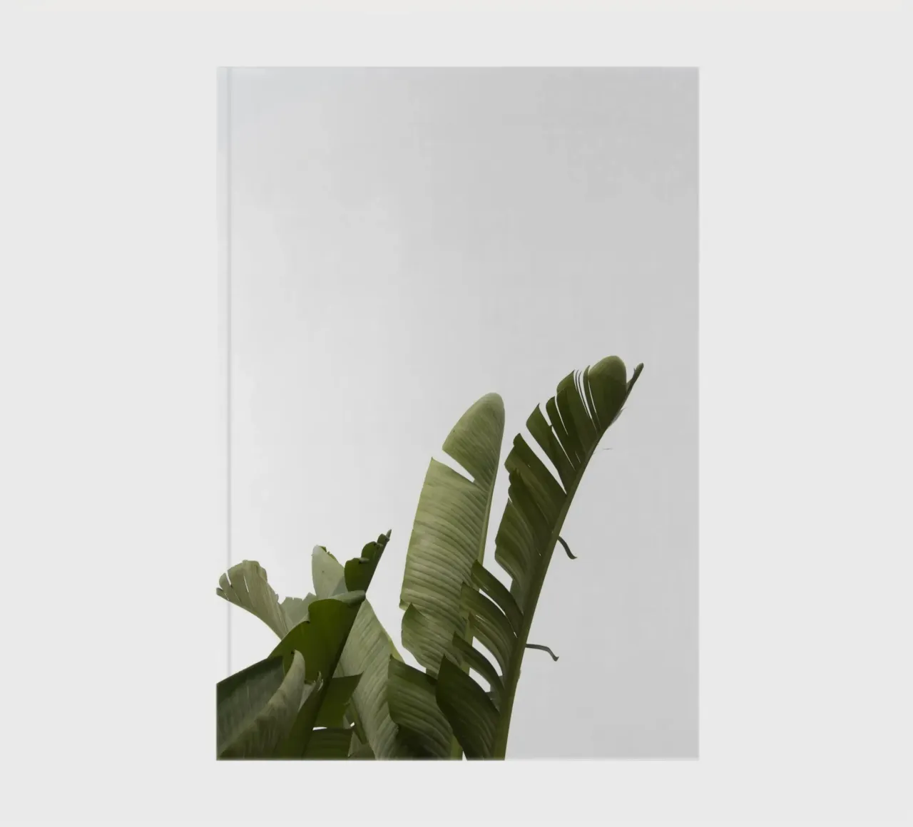 Travellers Palm Leaves 07 notebook by amini54