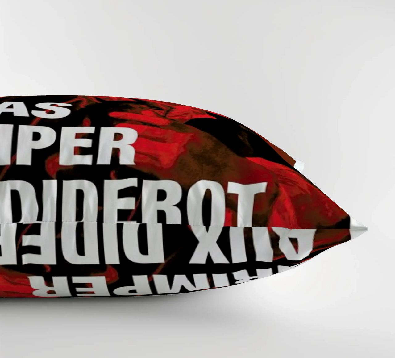 Diderot coussin de Fists Et Lettres