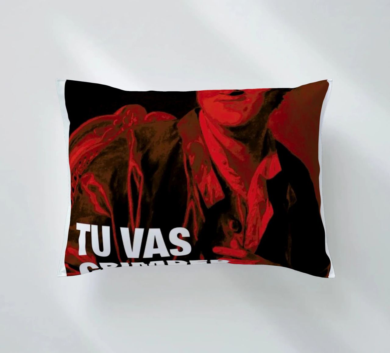 Diderot coussin de Fists Et Lettres