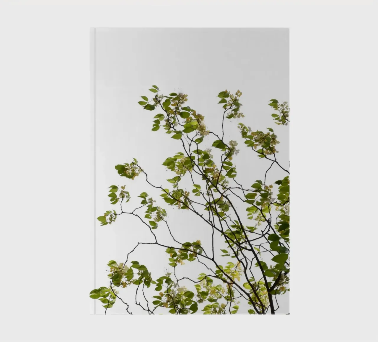 Feuillage vert 01 carnet de notes de amini54