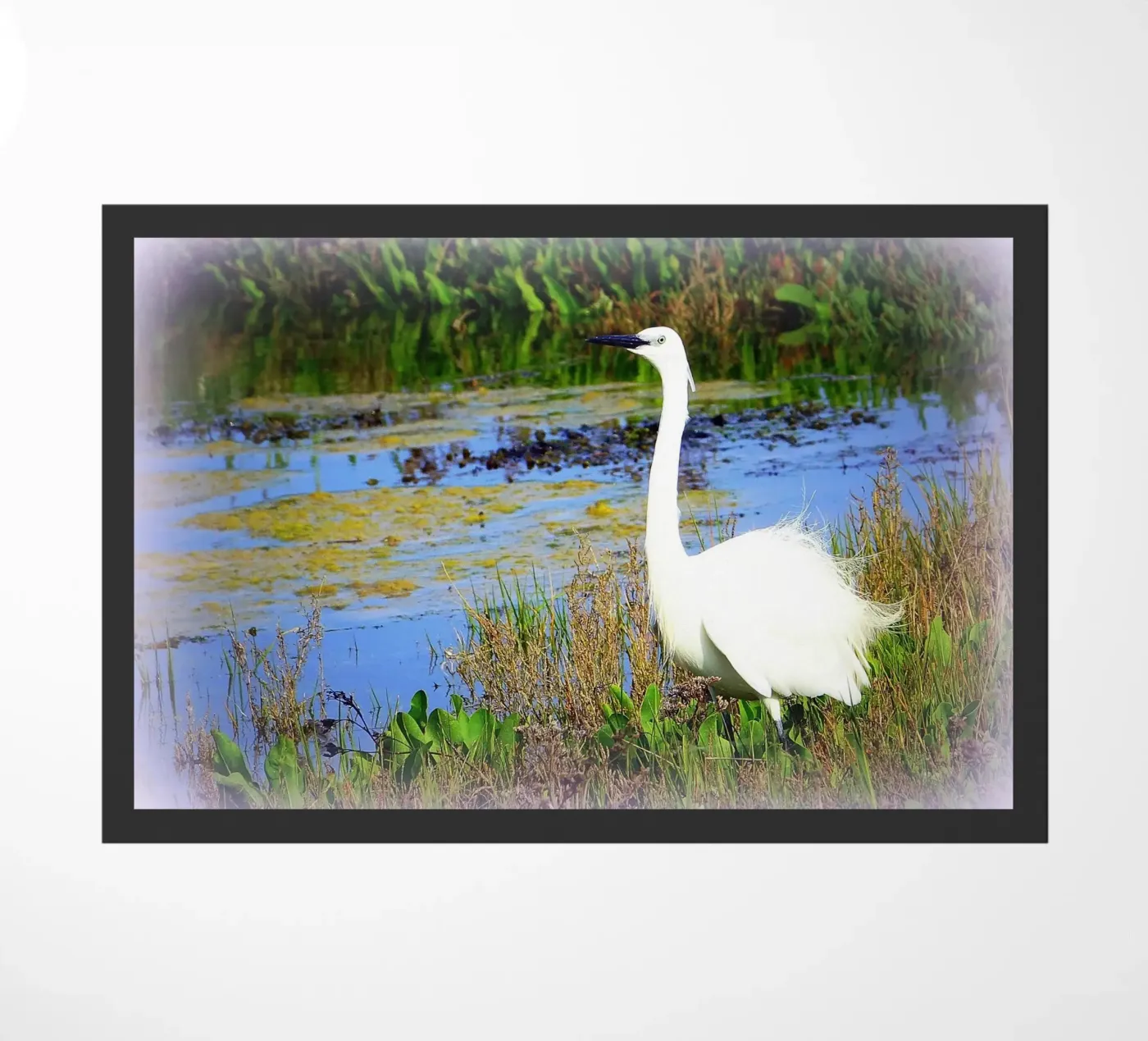 FAA71 Fußmatte von Thierry vobmann photography