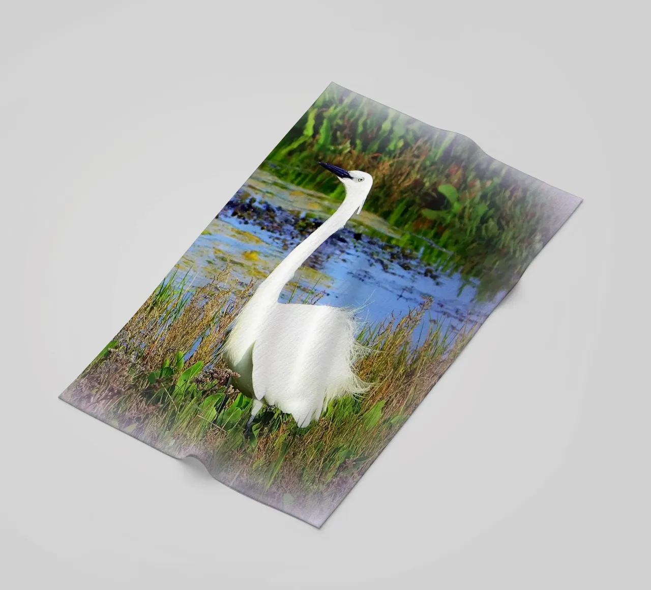 FAA71 telo mare da Thierry vobmann photography